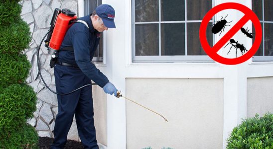 Limontepe Akrep İlaçlama böcek ilaçlama ve haşere kontrolü — ilaclama-tr.com